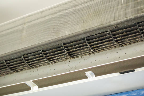 Best Commercial Air Duct Cleaning  in Evergreen Park, IL